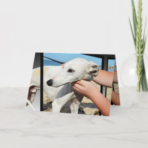 Greyhound 3D Effect Birthday - Cartão de Saudaç