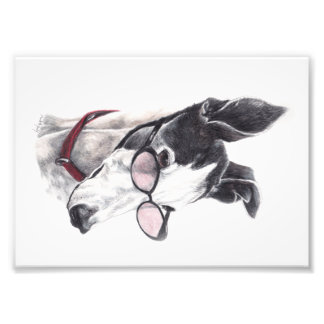 Greyhound com Impressão de Fotografia de Óculos