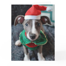 Greyhound Elf Puppy Cartão de Natal