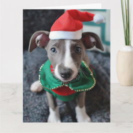 Greyhound Elf Puppy Cartão de Natal