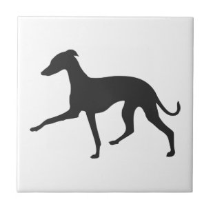 Greyhound Silhouette italiano