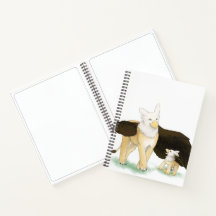 Griffin e livro de bebês
