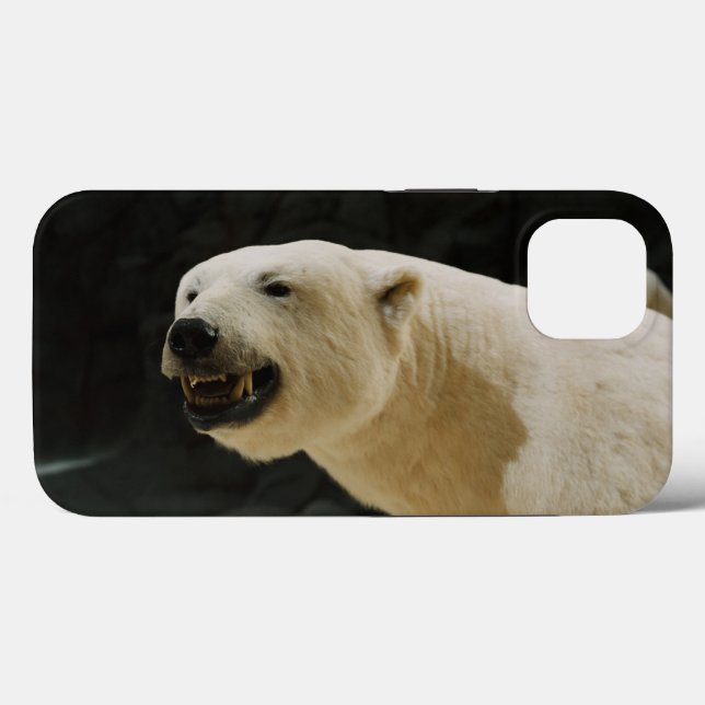 Grin do Urso Polar (Verso (horizontal))