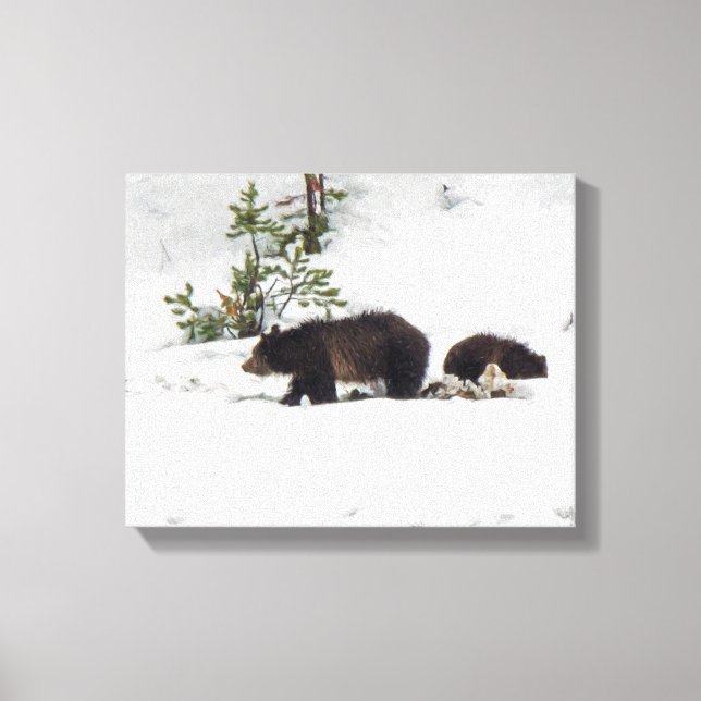 Grizzlies na Canvas Esticada da Neve (Frente)