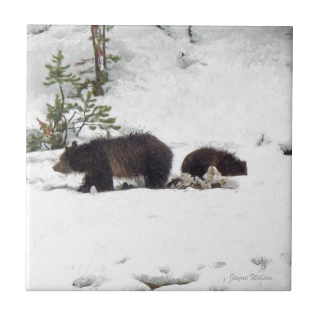 Grizzlies na neve (Frente)