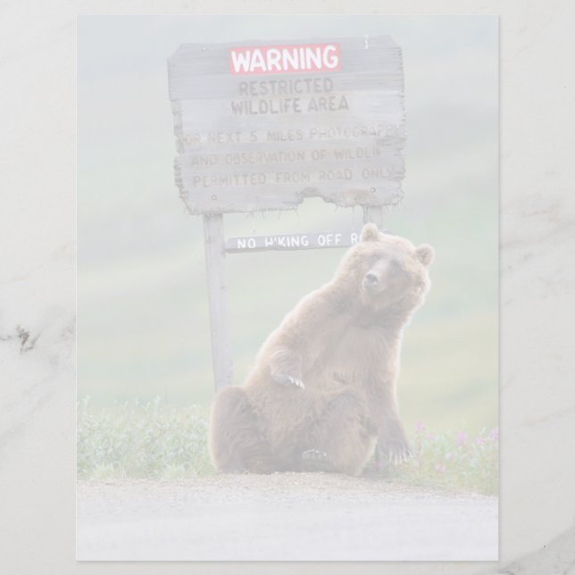 Grizzly Bear Plays With Sign (Frente)