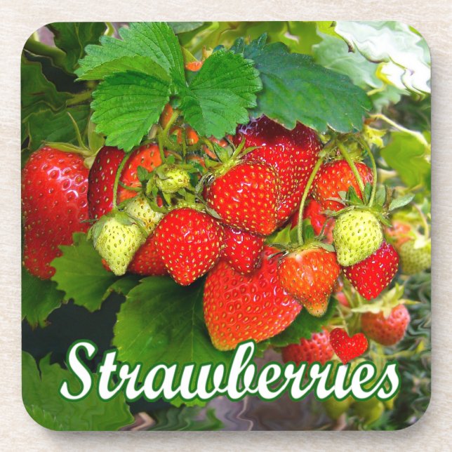 Groselhas de Verão ~ Porta copos de Cork nº 2 (Frente)