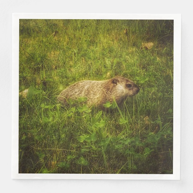 Groundhog em um guardanapo de campo (Frente)