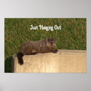 Groundhog em uma Poster de Muro
