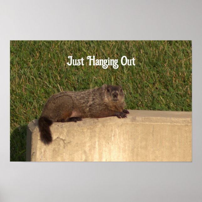Groundhog em uma Poster de Muro (Frente)