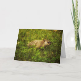 Groundhog num cartão de saudação de campo