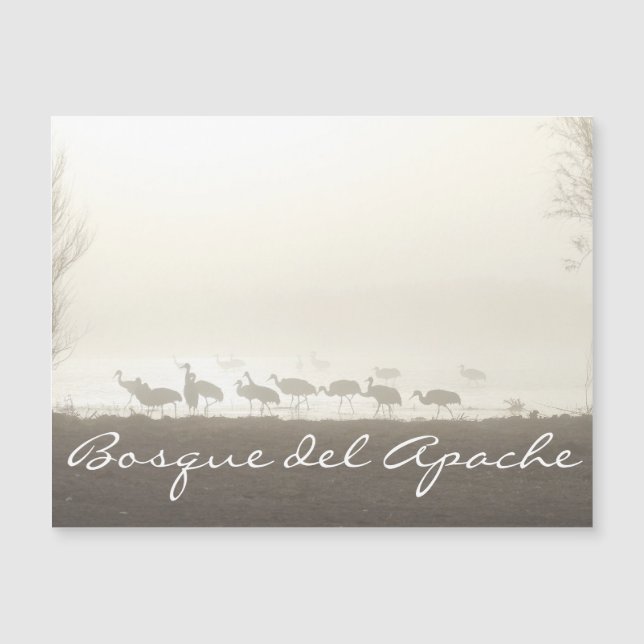 Gruas na neblina Bosque del Apache (Frente)