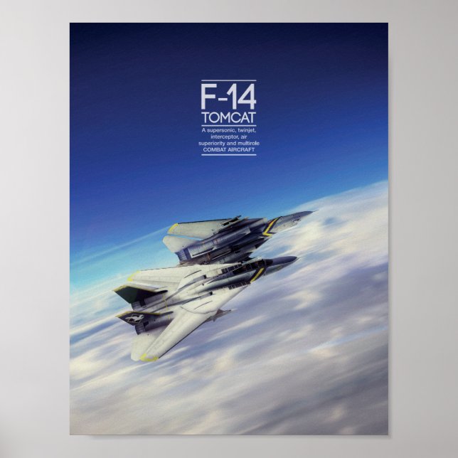 Grumman F-14 Tomcat poster (Frente)