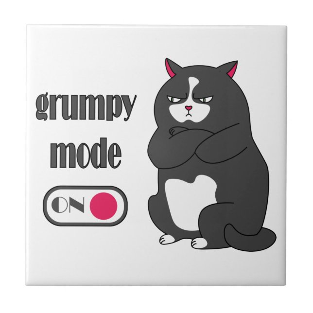 Grumpy mode on funny fat cat  (Frente)
