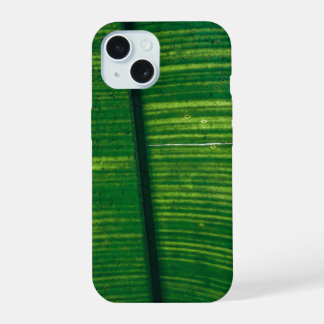 Grünes Blatt mit Details aus Costa Rica