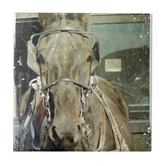Grunge Amish Buggy Horse
