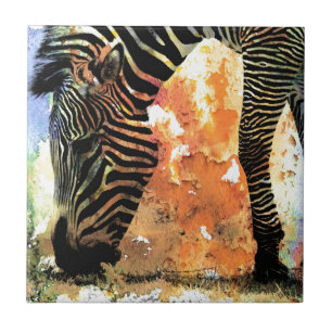 Grunge colorido da zebra