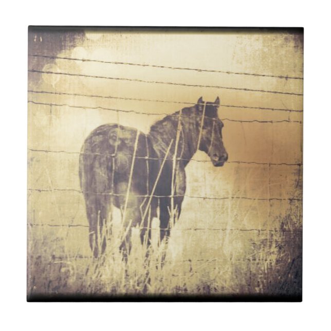 Grunge de Cavalo Negro (Frente)