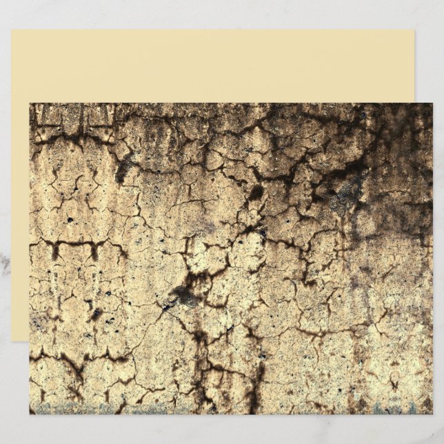 Grunge Rustic Beige Brown Textura Vintage (Frente/Verso)