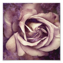 Grunge Texture Painted Rosa Impressão de Foto