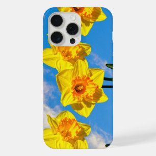 Grupo de Daffodils Dourado Flores Medais Capa de t