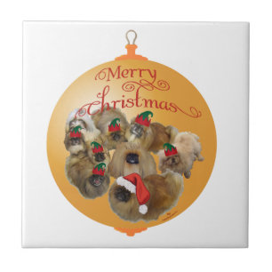 Grupo de Ornamentos Pekingese