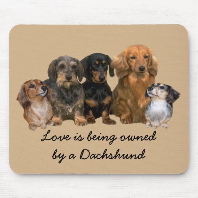 Grupo Mousepad do Dachshund (Frente)