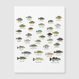 Grupo Sunfish da América do Norte
