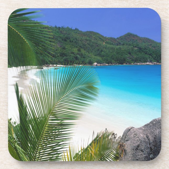 Grupo tropical da porta copos da praia do paraíso (Frente)