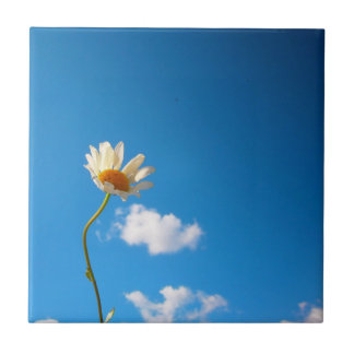 Grytunderlägg Daisy