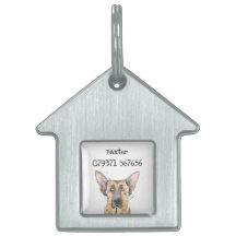 GSD German shepherd Cachorro Engraçado