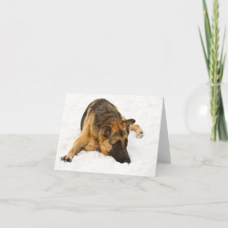 GSD nevado - Cartão