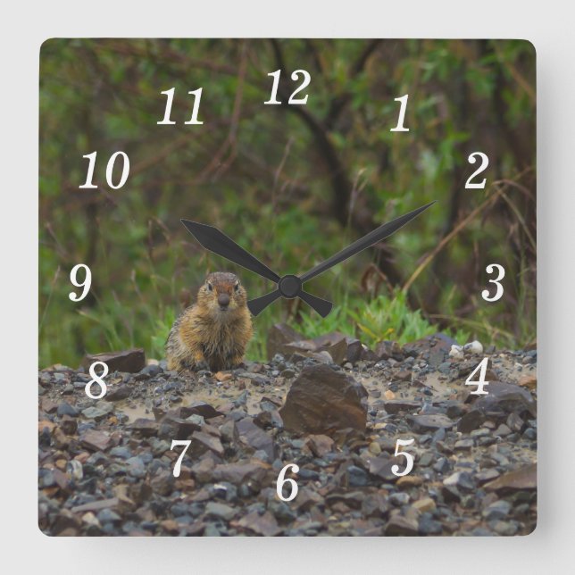 Guarda-chuvas, por favor, relógio (Frente)