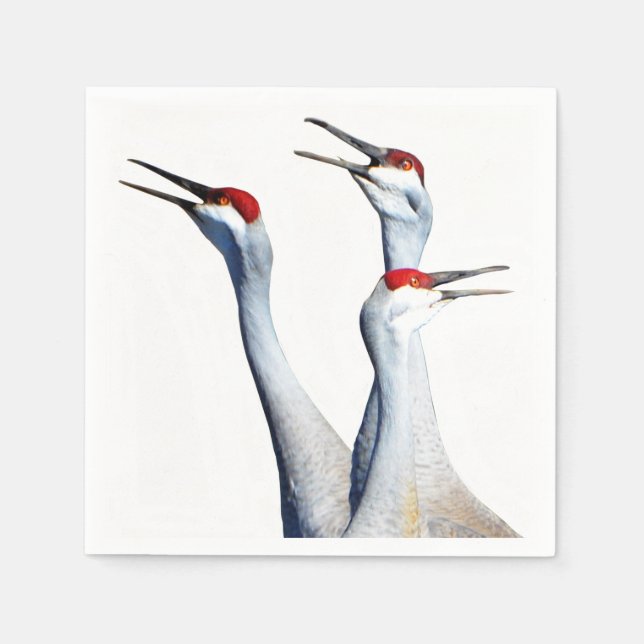 Guardanapo De Papel 3 Sandhill Cranes Papel Fotográfico Napkins (Frente)