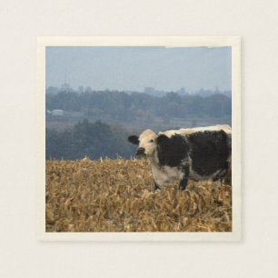 Guardanapo De Papel A vaca preto e branco pasta no campo recentemente
