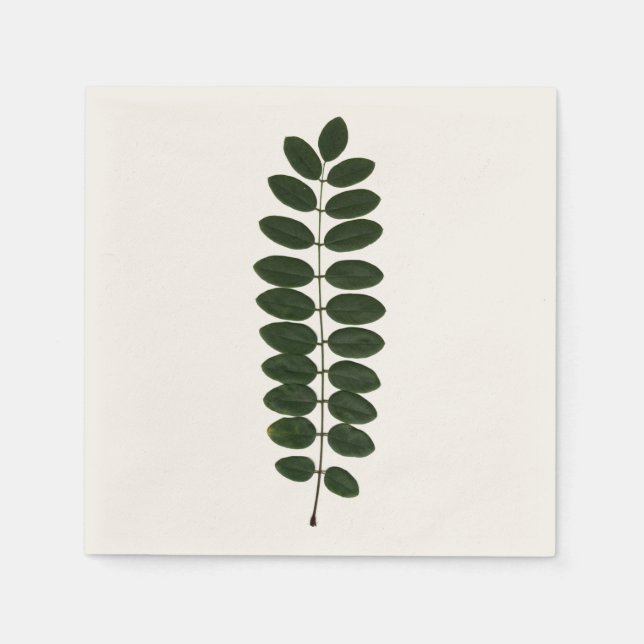 Guardanapo De Papel Acacia Leaf Napkin (Frente)