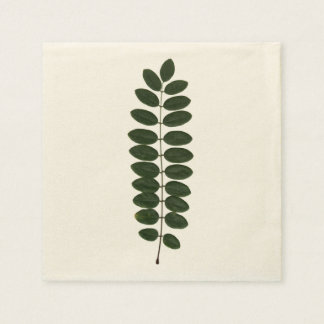 Guardanapo De Papel Acacia Leaf Napkin