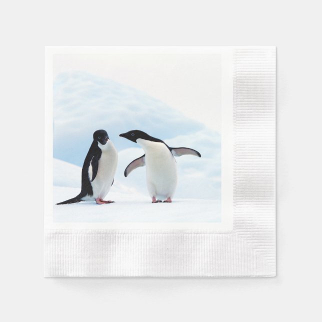 Guardanapo De Papel Adelie Penguins (Frente)