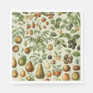 Guardanapo De Papel Adolphe Millot - Fruits