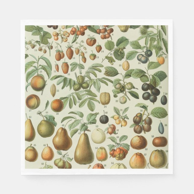 Guardanapo De Papel Adolphe Millot - Fruits (Frente)