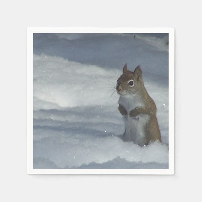Guardanapo De Papel Adorável Divertimento Napkins (Frente)