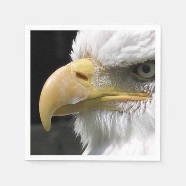 GUARDANAPO DE PAPEL ÁGUA ÁGUA DE PRESA (Frente)