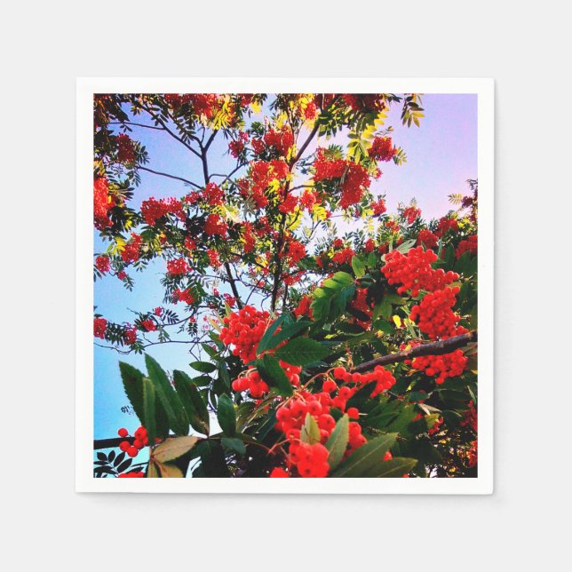 Guardanapo De Papel Airelas vermelhas (Frente)