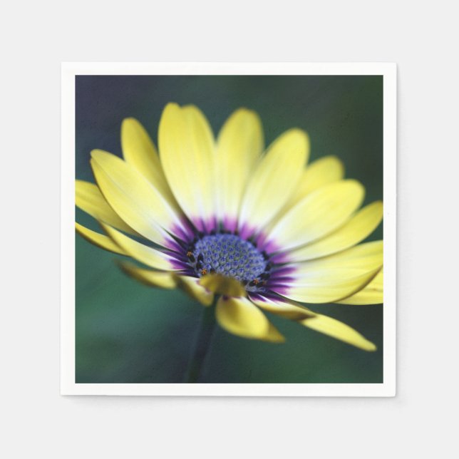 Guardanapo de papel amarelo roxo no centro (Frente)