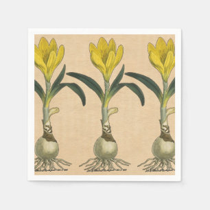 Guardanapo De Papel Amaryllis Botanical Vintage Garden Impressão