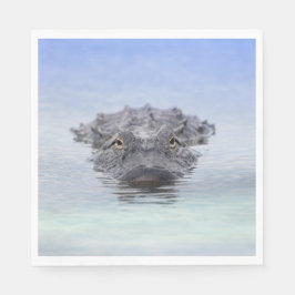 Guardanapo De Papel American Alligator – Lake Apopka Wildlife Drive