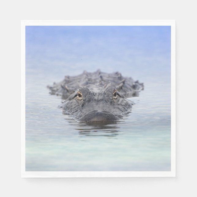 Guardanapo De Papel American Alligator – Lake Apopka Wildlife Drive (Frente)