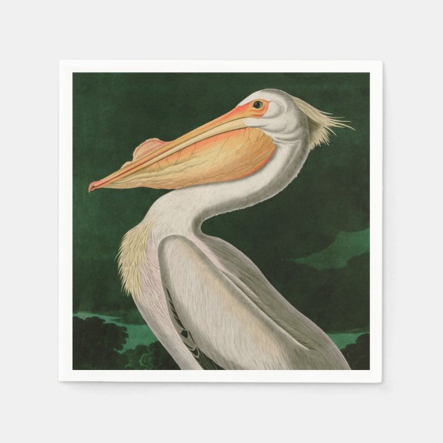 Guardanapo De Papel American White Pelican Birds of America Audubon (Frente)
