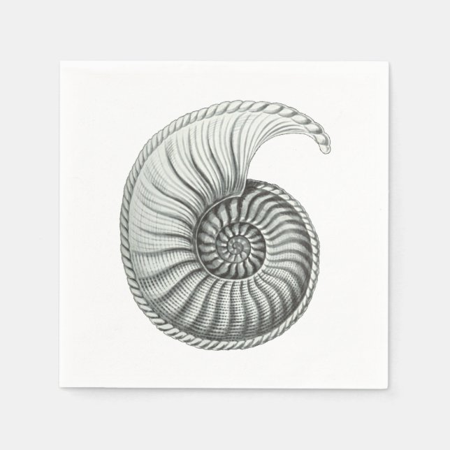 Guardanapo De Papel Ammonite (Frente)
