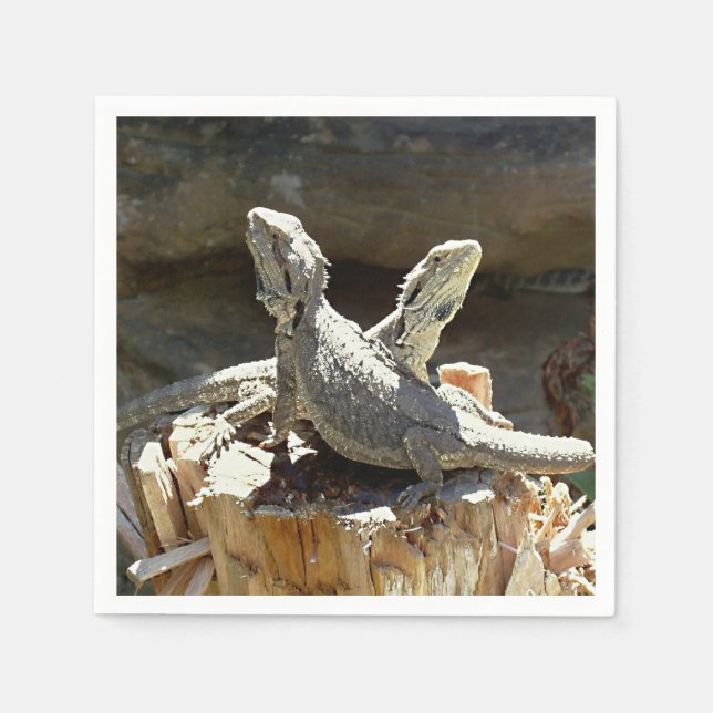 Guardanapo De Papel Amphion e Zethus (Frente)